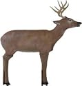 McKenzie Hunter's Buck II 3D Target