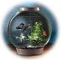 biOrb 60l Tropical Acrylic Aquarium Silver