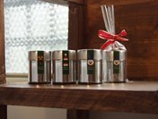 シェドゥーブル 紅茶 クリスマスティー Christmas Tea 20g缶x3セット