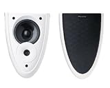 Pioneer S-DS1-Z Home Surround Speakers (pair)