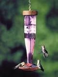 Schrodt Designs Model HBL-HPA Amethyst Hummingbird Paradise Feeder