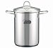ELO 90186 Rubin Stainless Steel Asparagus Pot with Chrome Stainless Steel Steamer Basket, 5-Quart