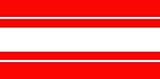 Detroit Red Wings NHL Team Color Wallpaper Border