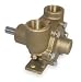 Dayton 3ACB2 Pump, Pedestal, Inlet/Outlet 1 In