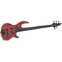 Conklin Guitars GT-5 5-String Fretless Bass (Natural)