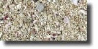 Buy Carib Sea Arag – Alive Saltwater Bimini Pink 20 lb
