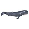 Safari: Sperm Whale Adult
