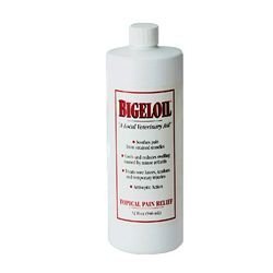 Childrens Toyshop  Sporting Goods : W.F. Young's Bigeloil Liniment (16-oz Plastic bottle)