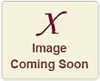 Antonio Banderas Spirit V.i.p By Antonio Banderas For Men Eau De Toilette Spray, 3.4-Ounce / 100 Ml