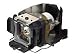 Sony LMP C162 - projector lamp ( LMPC162 )