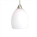 Sarah Quick Connect Pendant Kit Canopy Type: LED Monopoint Canopy, Shade Finish: Turquoise, Finish: Chrome