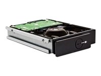 LaCie 5big Ersatzlaufwerk  1TB  f?r 4big Quadra & 5big Network im Preisvergleich 