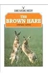 The brown hare