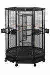 parrot octagon
