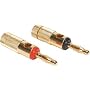 Dayton BACT-GRB Banana Plug Pair Compression Type