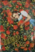 Wizard of Oz Magnet Dorothy in Poppies