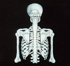 Human Body Systems: Complete Set