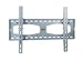 Mount World Tilt Wall Mount for 32- 60 Flat Panel Plasmal/LCD (Silver)