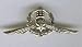 Israel Army Yamam Special Unit Pin