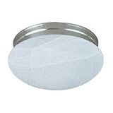 Casual Lighting 2-Bulb Flush Mount - Polished Brass/Marbleized Glass