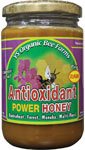Raw Antioxidant Power Honey - 13 oz - Paste