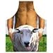 Sheep Shagger Novelty Apron