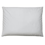 Original Sobakawa Buckwheat Pillow