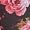Rose Mix
