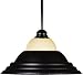 Z-Lite 100RP-BRZ-GMSBRZ 1 Light Pendant Bronze Golden Mottle Glass/Bronze Shade