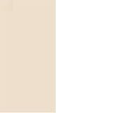  : No Nonsense Women's Microfiber Bikini Panties, Nude/ White, Medium, 2-Pack