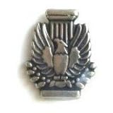Membership Pin - Silver