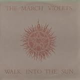 Walk Into The Sun