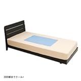 ܂ŃN[ v`VO y2009NŁz