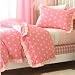 Lands' End Tutu Comforter Cover