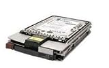 HP 72GB HDD 10000rpm SCSI U320 HotPl (S)