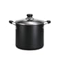 TFal 12qt Stock Pot