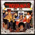 Iguanas thumbnail