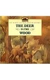 The Deer in the Wood (My First Little House Books (Prebound))