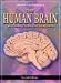 The Human Brain: in Photographs and Diagrams