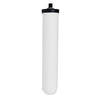 Mountain Plumbing 661RFC Mountain Pure Replacement Cartridge