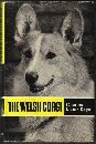 Produkt-Bild: THE WELSH CORGI.