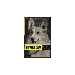 The Welsh Corgi