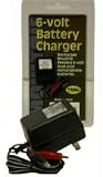 6 Volt Battery Charger