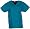 Dickies Teal