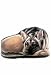 Fiddler's Elbow Gem The German Shepherd Doorstop