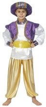 Prince Aladdin Costume (child size) 