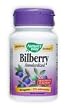 Bilberry Standardized Extract - 60 - Capsule