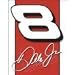 Dale Earnhardt Jr. Nascar Vintage Bar Metal Antique Nostalgic Collectible Tin Sign Image