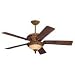 Kitchen & Housewares : Emerson CF120GCK Basque Golden Crackle Specialty Ceiling Fan 52