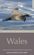 Where to Watch Birds in Wales (Where to Watch Birds)